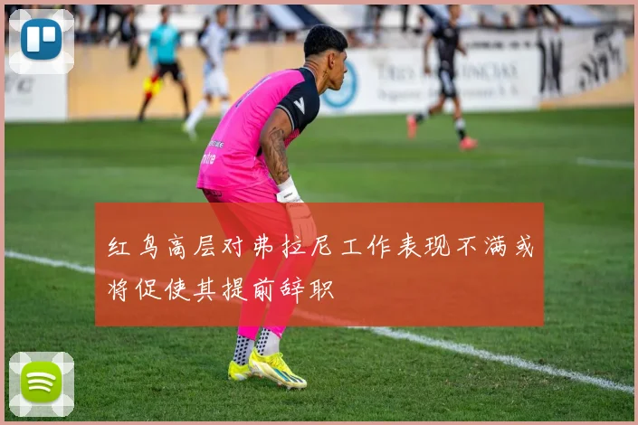 红鸟高层对弗拉尼工作表现不满或将促使其提前辞职