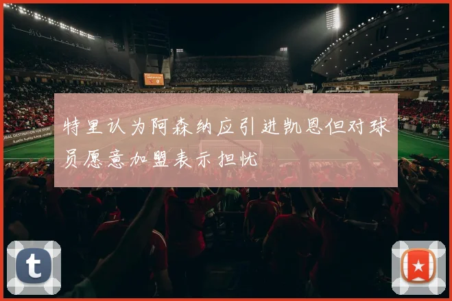 特里认为阿森纳应引进凯恩但对球员愿意加盟表示担忧